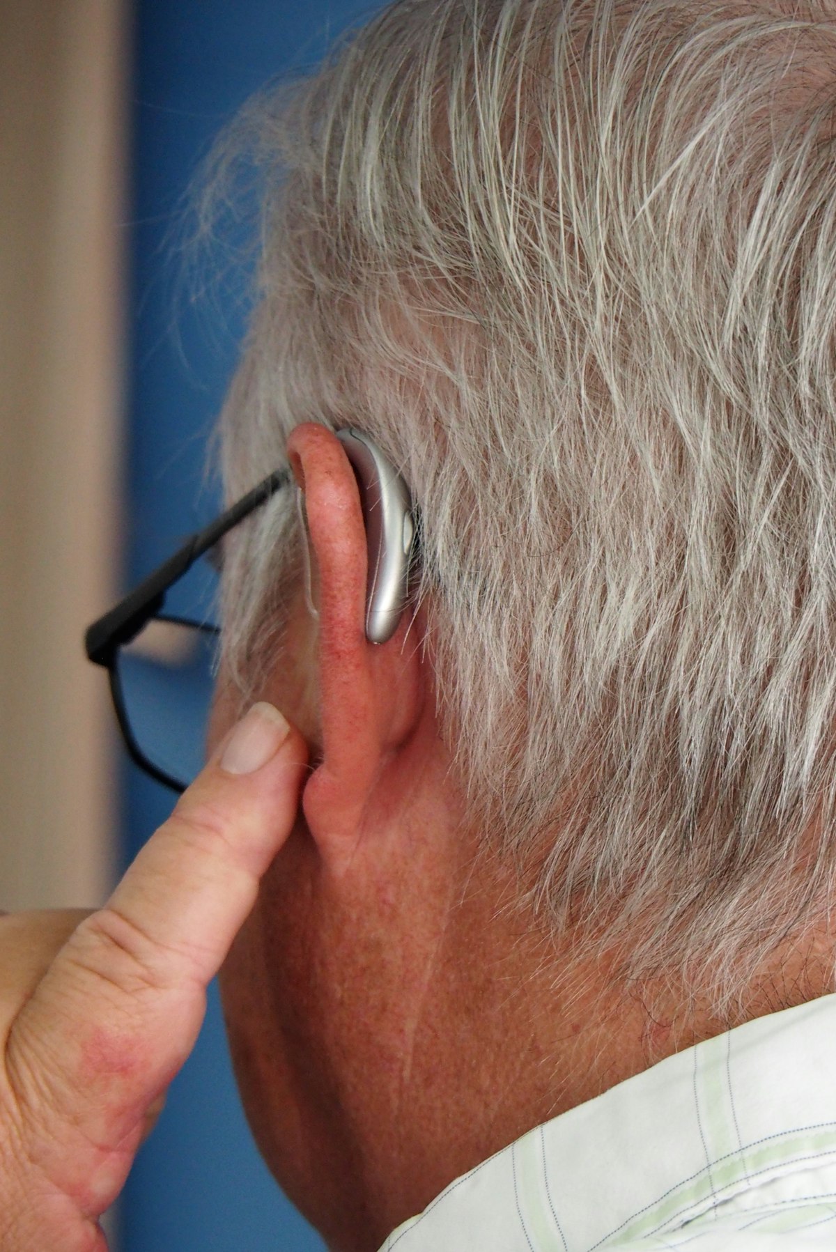 Kirkland Signature hearing aids
